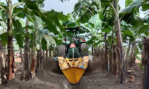 THAGRICO - Cơ giới hóa, nâng tầm nông nghiệp Việt