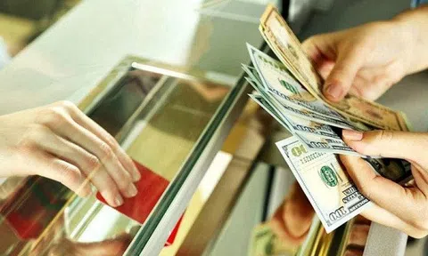 Doanh nghiệp cần biết: Các trường hợp được sử dụng ngoại hối trên lãnh thổ Việt Nam