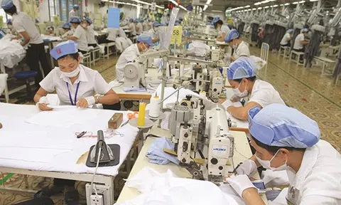Chuẩn bị chính sách hậu đại dịch cho một số ngành ở Việt Nam
