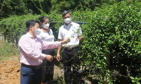 Nghị quyết 68/NQ-CP - "Phao cứu sinh" cho doanh nghiệp và người lao động