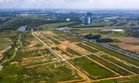 Vụ bán rẻ 43ha đất tại Bình Dương: Luật sư kiến nghị làm rõ động cơ mục đích phạm tội để giải quyết triệt để vụ án.