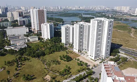 Trình Chính phủ Dự án Luật Đất đai (sửa đổi) trước ngày 10/1/2022