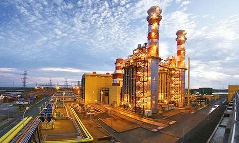 Kỳ 2: Luật Đấu thầu và 2 “điểm nghẽn” làm khó nhà thầu