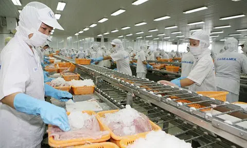 Nhìn lại một năm thực thi EVFTA