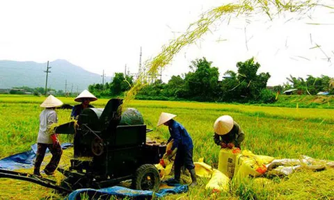 Nguyên tắc phân bổ nguồn vốn NSNN thực hiện Chương trình mục tiêu quốc gia