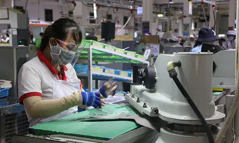 TP.HCM: Nhiều doanh nghiệp nhỏ và vừa kiến nghị Chính phủ ‘cứu' doanh nghiệp bằng 3 nhóm giải pháp