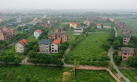 Hà Nội xem xét thu hồi đất đối với các dự án yếu kém năng lực tài chính, nợ thuế