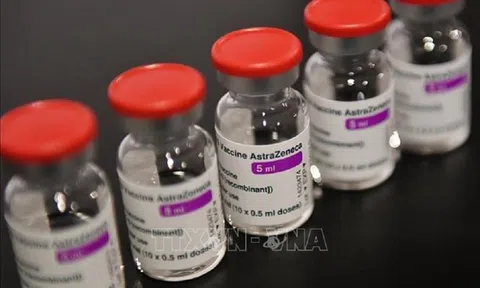 Đức viện trợ khoảng 2,5 triệu liều vắc-xin Astra Zeneca cho Việt Nam