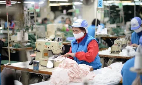 11 hiệp hội kiến nghị miễn giảm phí bảo hiểm xã hội