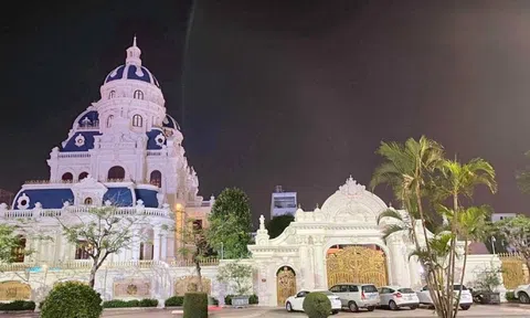 Khởi tố thêm vụ án trốn thuế liên quan đại gia Phát "dầu"