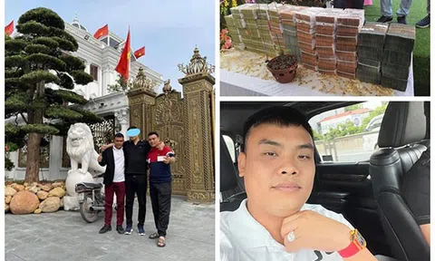 Vụ bắt anh em đại gia lan đột biến ở Quảng Ninh: Điều tra dấu hiệu rửa tiền
