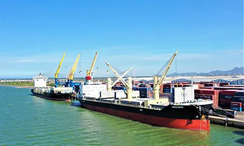 Phát triển xuất khẩu hàng viên nén, cảng Chu Lai đồng hành cùng doanh nghiệp