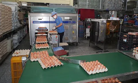 14 hiệp hội kiến nghị các giải pháp "sống chung với dịch Covid-19"