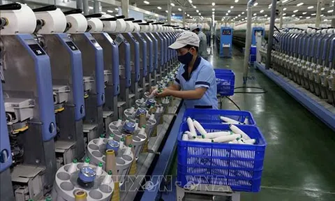 Bộ Kế hoạch và Đầu tư phối hợp địa phương xây dựng kế hoạch phục hồi kinh tế