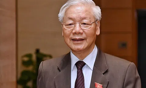Hai loại vụ án, vụ việc thuộc phạm vi của Ban chỉ đạo Trung ương