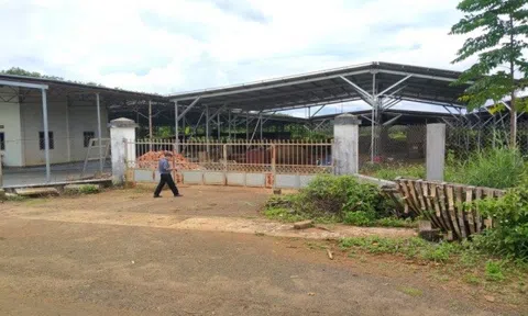Luật sư Lê Hoài Sơn - VPLS Trung Sơn (Bình Định): Có căn cứ để tuyên vô hiệu hai hợp đồng giao dịch