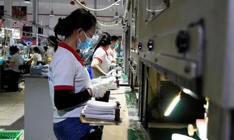 Dùng 30.000 tỷ đồng từ quỹ Bảo hiểm thất nghiệp hỗ trợ lao động