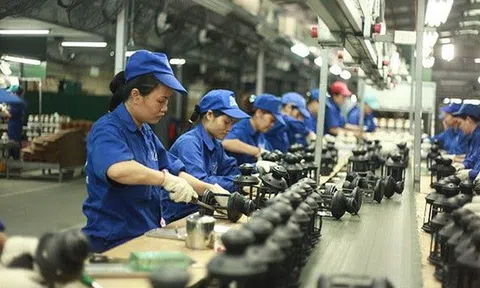 Những quy định về chứng nhận xuất xứ hàng hóa trong Hiệp định RCEP