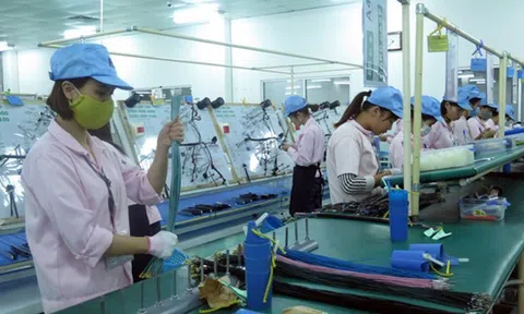 Hướng dẫn người lao động và người sử dụng lao động bị ảnh hưởng bởi đại dịch COVID-19 nhận hỗ trợ từ Quỹ bảo hiểm thất nghiệp