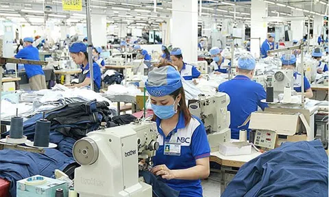 Những điều cần biết cho doanh nghiệp Việt khi kinh doanh tại EU