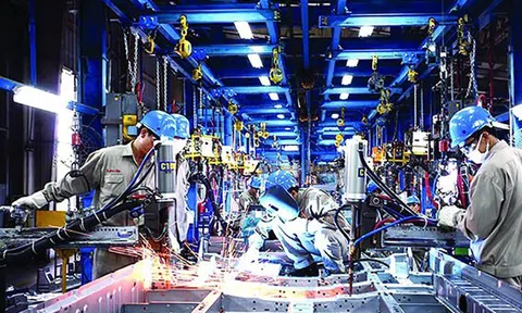 WB: Các cấp chính quyền nên sử dụng đa dạng công cụ tài khóa để hỗ trợ phục hồi kinh tế