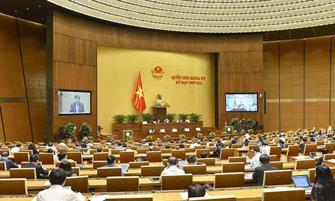 Xem xét khởi tố vụ án xâm phạm nhãn hiệu mà không cần yêu cầu của bị hại và bổ sung căn cứ tạm đình chỉ vụ án vì lý do dịch bệnh