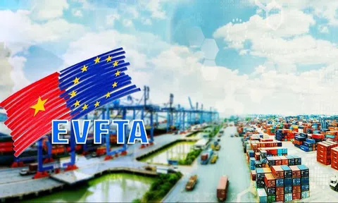 Hiệp định EVFTA tạo môi trường cạnh tranh thuận lợi hơn cho các doanh nghiệp