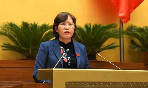 Đề nghị thanh tra, kiểm toán các lĩnh vực nổi cộm, bao gồm từ thiện