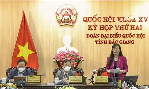 ĐBQH đề xuất xây dựng Đề án tổ chức phiên tòa trực tuyến