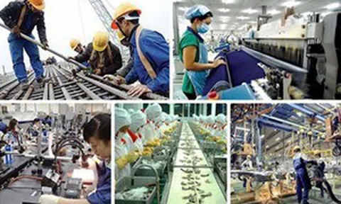 Đánh giá tác động toàn diện của dịch COVID-19, khuyến nghị giải pháp 'chung sống an toàn'