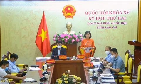 Băn khoăn việc thu hẹp phạm vi xử phạt hành chính trong lĩnh vực sở hữu trí tuệ