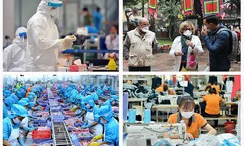 Chỉ đạo, điều hành của Chính phủ, Thủ tướng Chính phủ nổi bật tuần từ 25-29/10