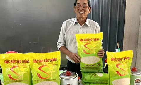 Nhượng bản quyền gạo ST25 cho Nhà nước – tiền lệ chưa từng có