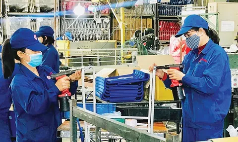 TS Võ Đình Trí: Hỗ trợ nền kinh tế, cần bao nhiêu là đủ?
