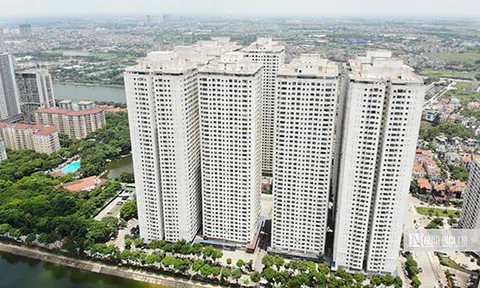 Chủ tịch HoREA: Giao dịch bất động sản phải qua sàn là bước thụt lùi