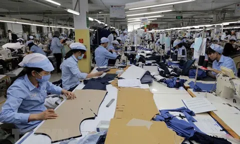 Việt Nam khẳng định vị thế sau 15 năm được kết nạp là thành viên WTO