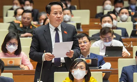 "Không luật hóa sẽ không bảo vệ được người dám nghĩ dám làm mà có thể dẫn đến trù dập, oan sai"