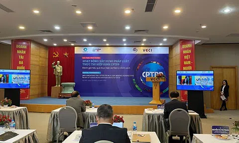 Việc thực thi CPTPP có tác động trực tiếp tới nhiều chế định pháp luật nội địa của Việt Nam