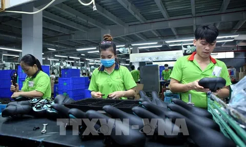 Xây dựng dự thảo hướng dẫn giám sát, đánh giá hoạt động đầu tư nước ngoài tại Việt Nam