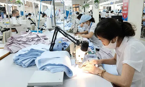 Tận dụng ưu đãi thuế quan cho doanh nghiệp trong Hiệp định thương mại