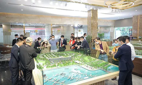 Sailing Club Residences Ha Long – khẳng định đẳng cấp với trải nghiệm bên vịnh biển