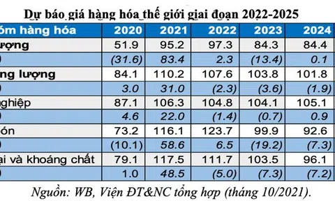 Áp lực lạm phát 2021-2022 và khuyến nghị