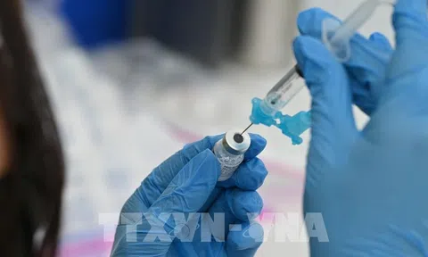Các vaccine phòng COVID-19 hiện nay có hiệu quả với biến thể Omicron?