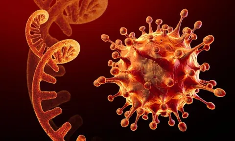Lo ngại biến chủng Omicron, EU dừng cấp phép xuất khẩu vaccine từ năm 2022