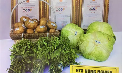 Ngành nông nghiệp huyện Thạch Thất (Hà Nội): Nỗ lực thích ứng với trạng thái “bình thường mới”.