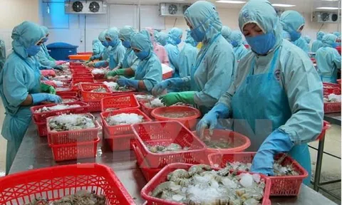 Thủ tục hành chính vẫn đang là rào cản thực thi EVFTA