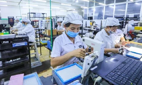 Chính sách hỗ trợ thuế nhìn từ các nước và Việt Nam