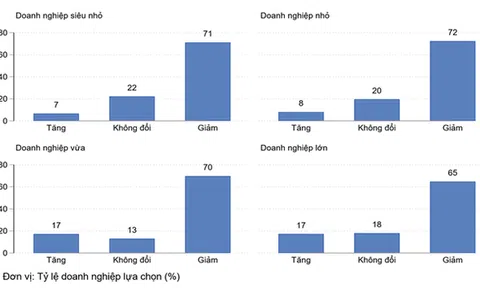 Doanh thu của hơn 70% doanh nghiệp nhỏ và vừa tiếp tục giảm, nguy cơ “kiệt quệ” về tài chính