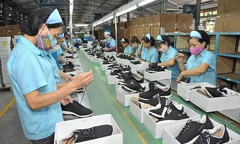 3 nguyên tắc áp dụng biện pháp tự vệ song phương trong UKVFTA