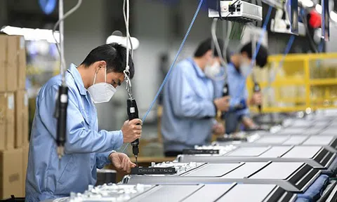 Những quy định cấm đối với hành vi lạm dụng sức mạnh thống lĩnh thị trường trong Luật Cạnh tranh của EU